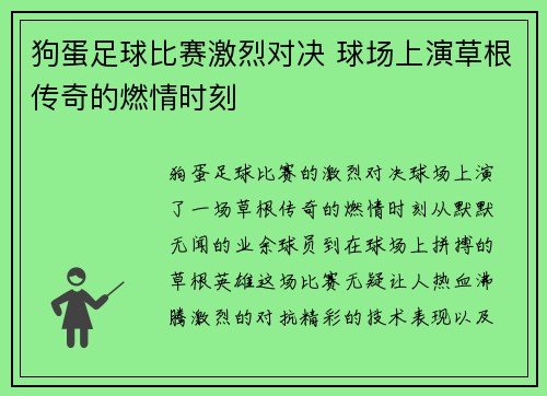 狗蛋足球比赛激烈对决 球场上演草根传奇的燃情时刻